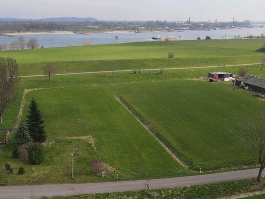 Einzigartiges 9000 qm großes Baugrundstück mit Rheinblick im Landschaftsschutzgebiet