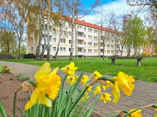 Alles, was zählt! Genug Platz, Balkon, schöne Aussicht....