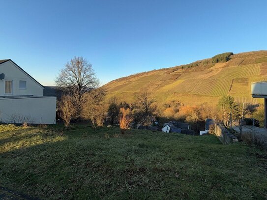 Leben mit Ausblick - Baugrundstück mit Blick auf die Weinberge in Waldrach