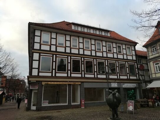 Großzügige 6-Zimmer Wohnung in der Innenstadt von Osterode am Harz