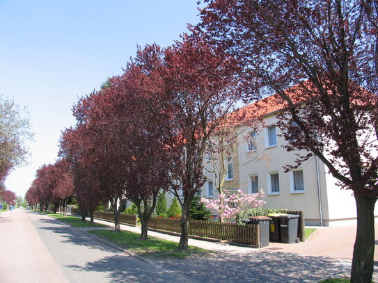 Schöne 3-Raumwohnung in grüner Lage!