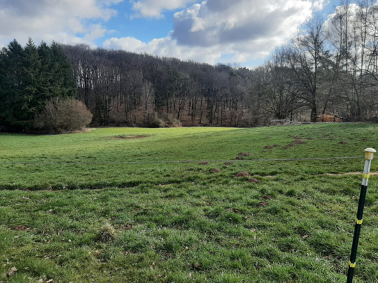 Attraktives Baugrundstück in ruhiger Lage von Waldmohr - Vielfältige Bebauungsmöglichkeiten