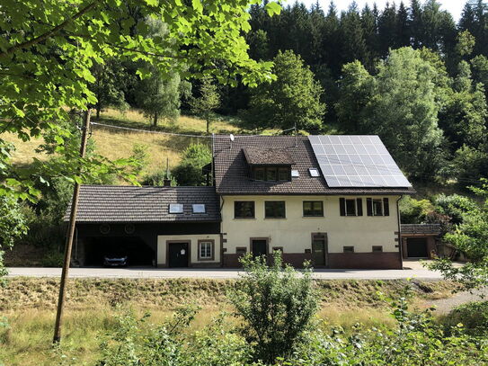 Zweifamilienhaus-1,73 ha Wald und Wiesen, Alleinlage, PV-Anlage, eigene Quelle, am Wildbach