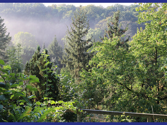 Garten in Zentrumsrandlage