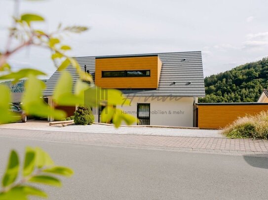 Exklusives Haus mit Panoramablick auf Burg Nassau: Modernes und großzügiges Wohnerlebnis