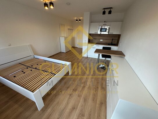 Tolles Ambiente **Möbliertes 1 Zimmer Apartment mit Balkon ** frisch renoviert** mit EBK und TG