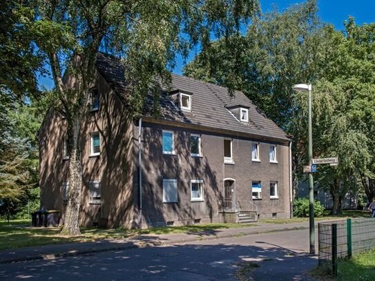 Demnächst frei! 2-Zimmer-Wohnung in Gelsenkirchen Scholven