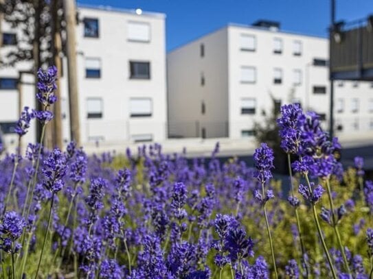 Mietwohnung aus gefördertem Wohnraum (Berechtigungsschein notwendig)