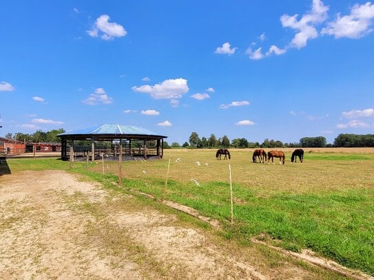 Professionelle Reit- und Zuchtanlage im Kreis Soest