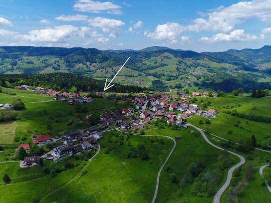 Panoramasicht zum Belchen....2-Zimmerwohnung auf dem Ehrsberg