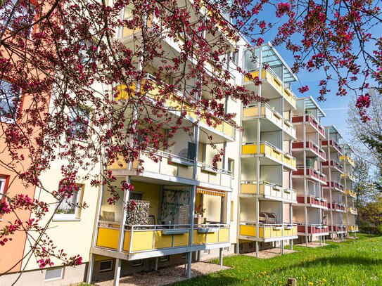 Wohnvergnügen verteilt auf 2 Zimmer