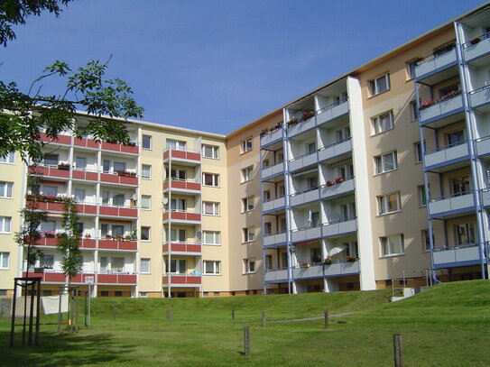 2-Raum-Wohnung mit Balkon nahe Zeisigwald