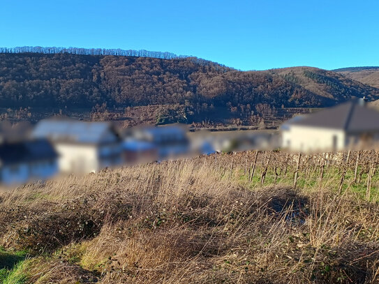 Baugrundstück mit Moseltalblick - Plus viel Platz für Garten - Kita und Grundschule in der Nähe