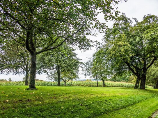 Baugrundstück für Doppelhaushälfte in Vogelsdorf - Baureif, erschlossen und vermessen!