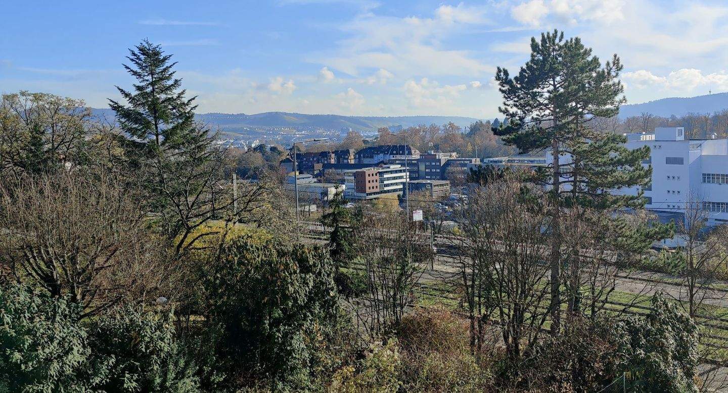Helle 2-Zi.-Wohnung mit Balkon und Panoramablick in Stuttgart-Birkenäcker (Bad Cannstatt)