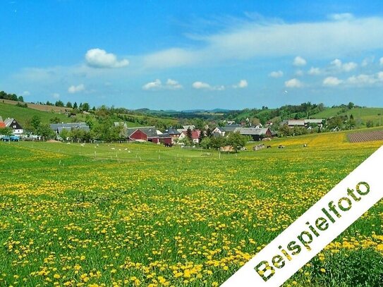 Landwirtschaftsfläche bei Waldshut-Tiengen