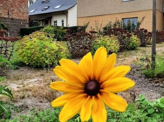 EIN KLEINER BAUERNHOF IN DER UCKERMARK ERWARTET SIE HIER! - NEUER PREIS!