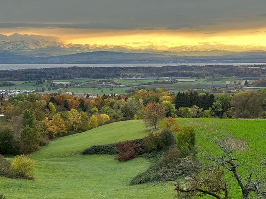 Exclusive 3-Zimmerwohnung mit Panoramablick über den Bodensee und die Schweizer Alpen