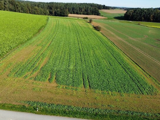 Acker Nähe Reisbach zwischen Reitl und Hornach