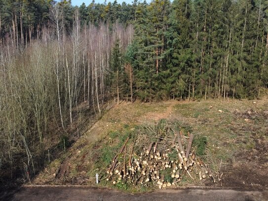 Großzügiges Grundstück in Seenähe zum Verkauf