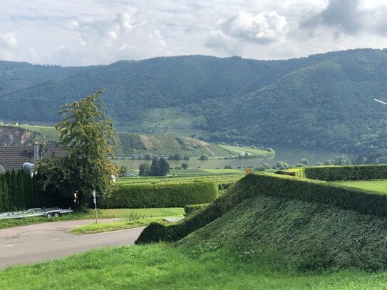 Baugrundstück mit Moselblick