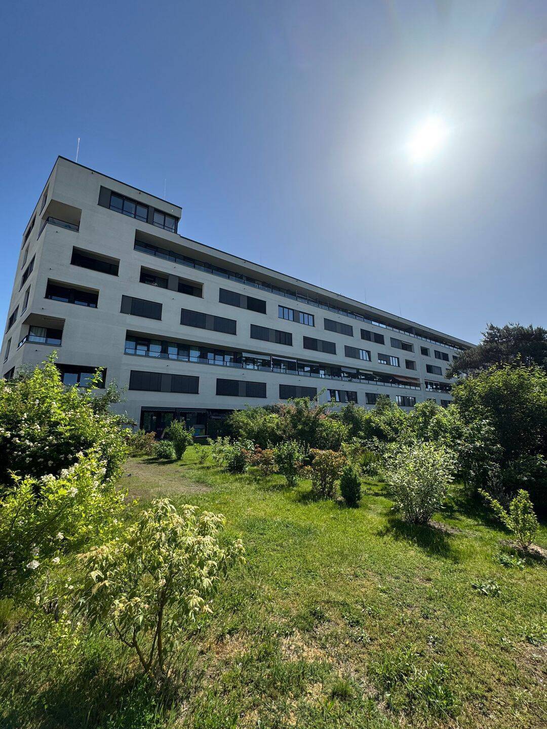 1-Zimmer-Wohnung in attraktiver Lage in Berlin-Adlershof - Foto 1