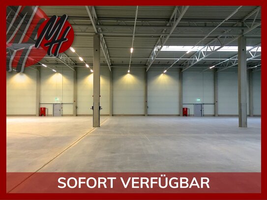 SCHNELL VERFÜGBAR - 24/7-NUTZUNG - Lager-/Logistikflächen (1.700 m²) mit optional Büro