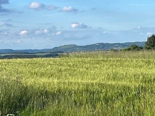 4-ZW Marloffstein Höhenlage, 2 Terrassen plus Garten, ab 1.12.