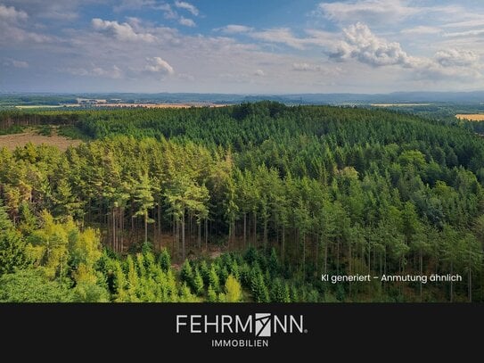 7,80ha zusammenhängender Wald in Breitenfeld-Gardelagen zum Kauf