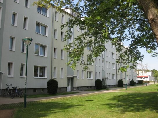 3 Raum-Wohnung mit Balkon