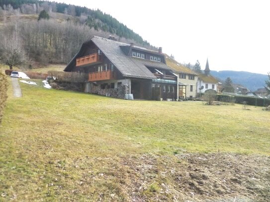 Großes Grundstück, großes Haus, idyllische Lage am Fluß unterhalb des Feldbergs