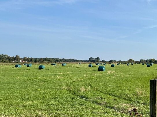 Ertragreiche Grünlandfläche ca. 51.921 m² an der Leine