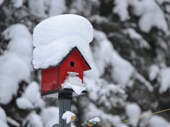 Kalte Wintertage im kuscheligen Eigenheim verbringen! Schlüsselfertige Häuser von Bien-Zenker!