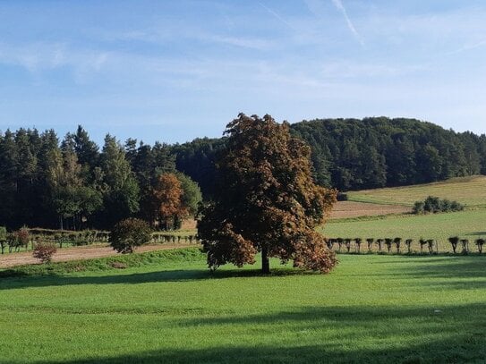 Top Lage in der Fränkischen Schweiz