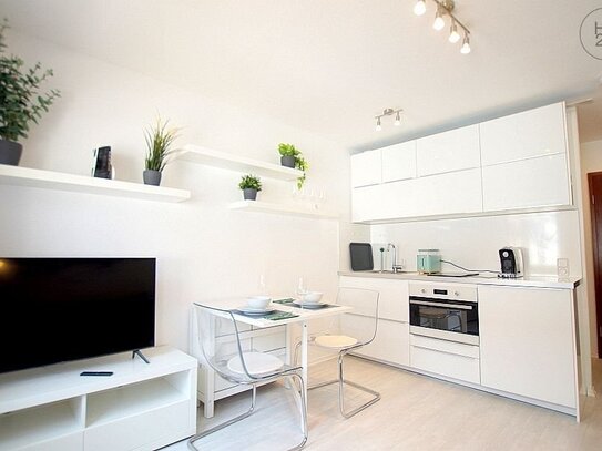 City Apartment in Mannheim