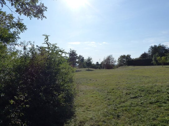 Sonniges Baugrundstück ohne Baubindung in Löcknitz bei Stettin