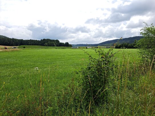 Großes Gewerbegrundstück in Berg in der Nähe von Neumarkt in der Oberpfalz