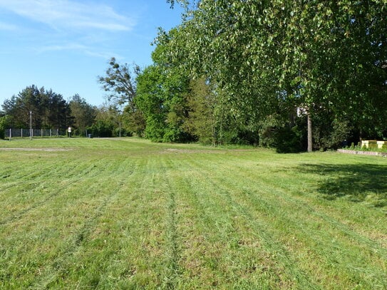 grosszügiges Stadtgrundstück am Waldrand für EFH/ZFH