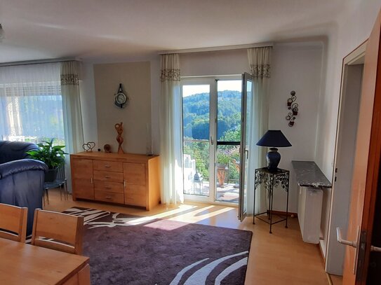 Gemütliche 3-Zimmerwohnung, tolle Aussicht, Balkon, Südhang, am Waldrand