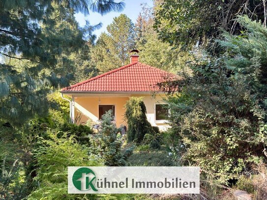 04.01.25: OPEN HOUSE! Bungalow mit tollem Garten in Falkensee - jetzt anfragen!