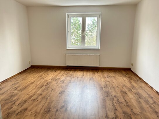 HELLE GEMÜTLICHE WOHNUNG MIT BALKON, SUCHT NETTEN MIETER!!!