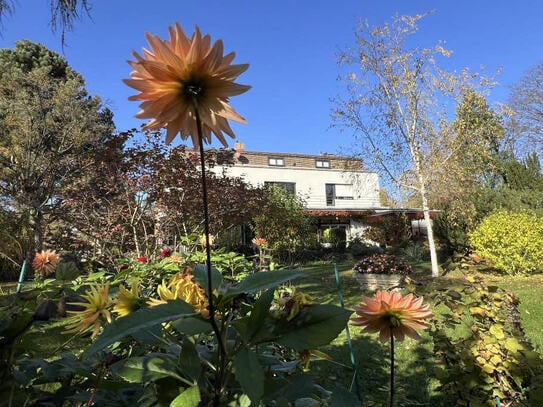 Halle-Paulusviertel: Denkmal-Villa mit Park-Grundstück, für 1 bis 3 Familien + Büro