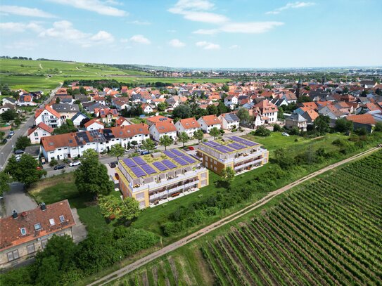 Exklusive 2 ZKB-Erdgeschosswohnung mit Gartenanteil und Rebenblick - WE 3