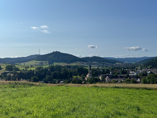 Neu: Modernes Einfamilienhaus in toller Lage - in Lahr/Ortsteil