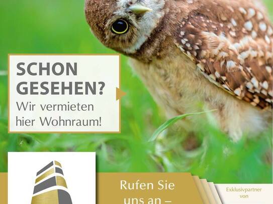 Hübsche kleine 2-Zimmerwohnung im Stadtteil Pieschen