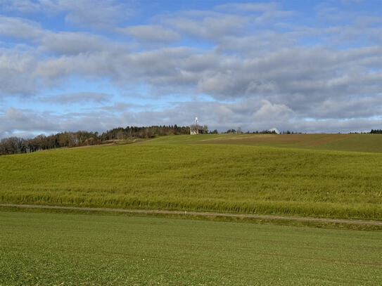 Landwirtschaftliche Flächen in Weng in der Nähe des Ortsteils Hinzelbach