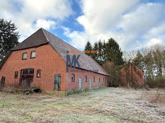 Teufelsmoor- unverbauter Resthof zu verkaufen