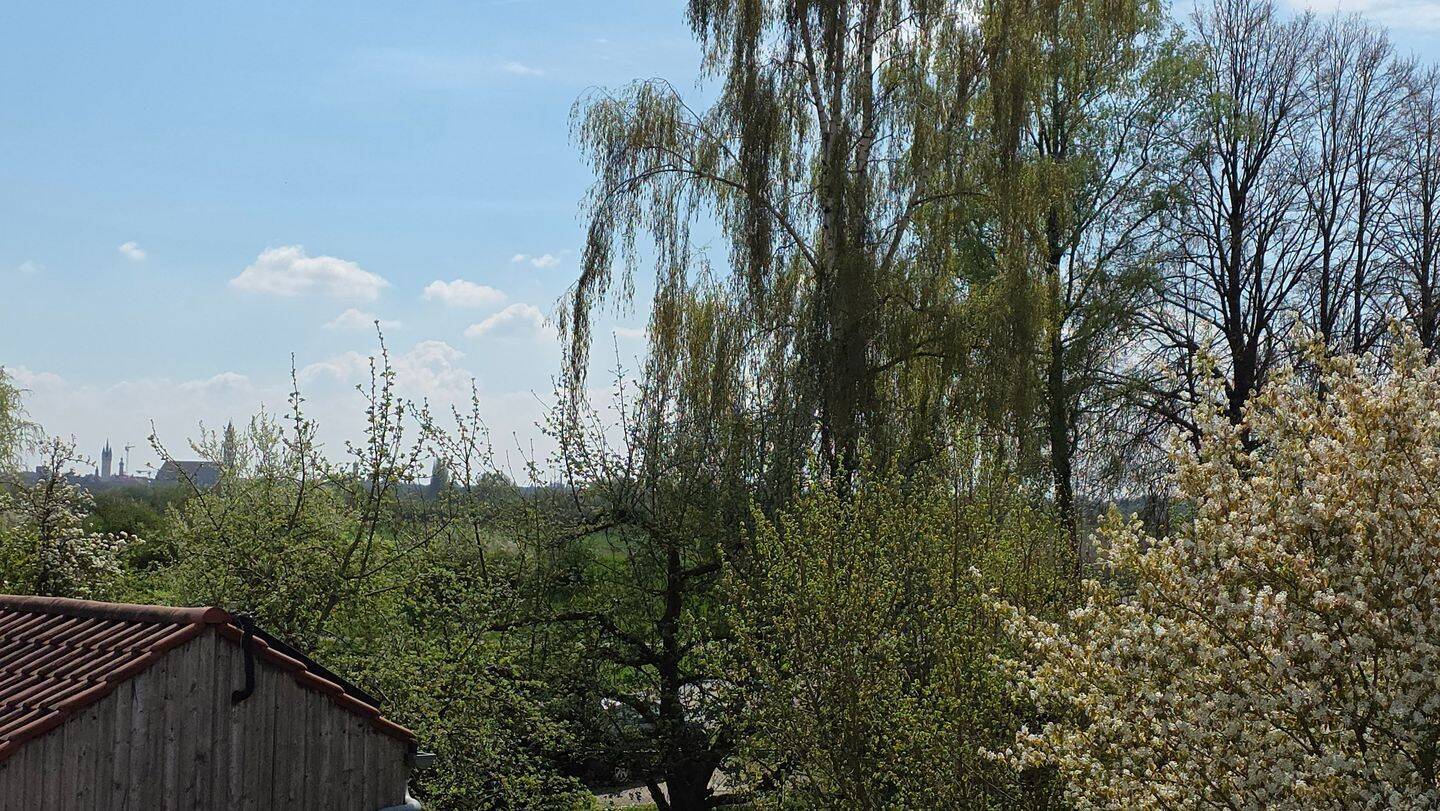 Immobilie in Straubing