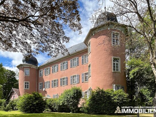 Imposantes Barockschloss am Rand der Rhön in Franken mit 62.000 m² Park, Wald und Wiesen