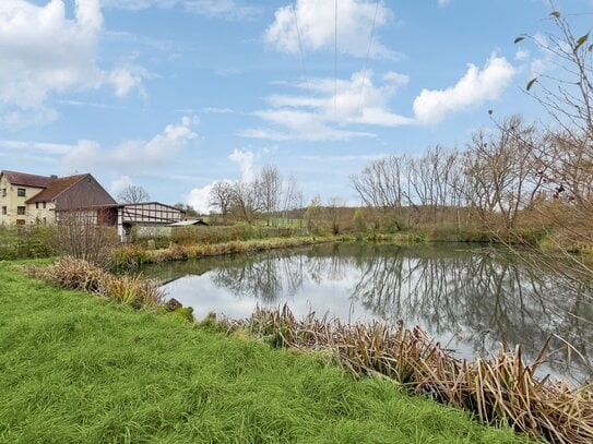 Ein Haus am Teich - naturverbunden Leben mit der Familie